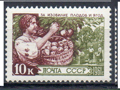 Сельское хозяйство СССР 1961 год сбор яблок **