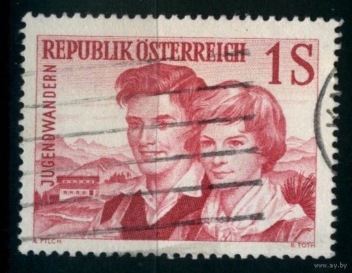 Австрия 1960 Mi# 1076 Гашеная (AT10)