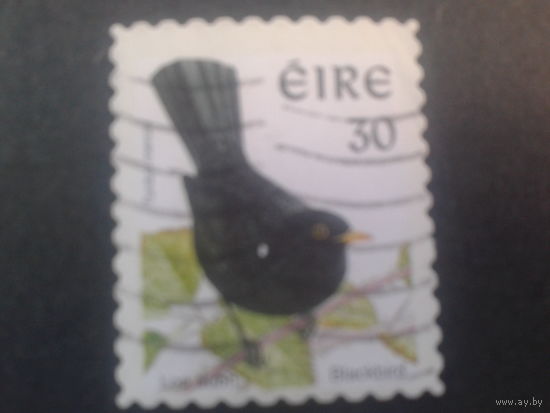 Ирландия 1998 птица
