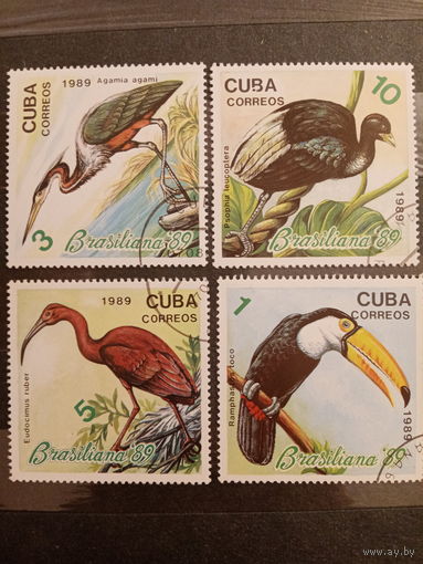 Куба 1989. Дикие птицы