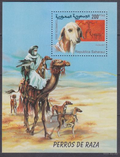 2000 Республика Сахара B Local Собаки