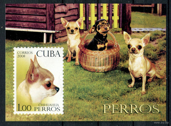 Куба - 2008г. - Собаки - полная серия, MNH [Mi bl. 247] - 1 блок