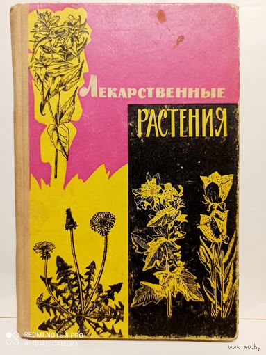 Лекарственные растения дикорастущие 1965г.
