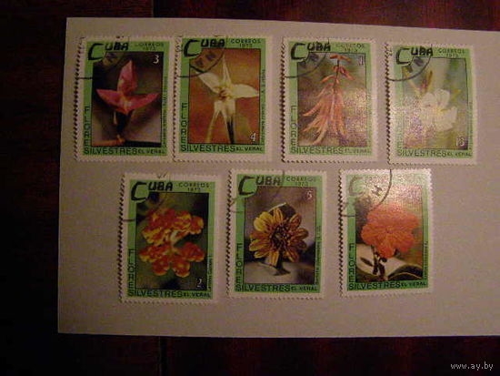 Куба 1973 М 1909-15 CTO Флора цветы