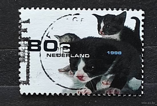 Нидерланды, 1м гаш, котики