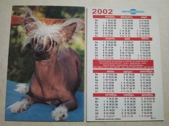 Карманный календарик. Собака. Китайская хохлатая. Мингорсоюзпечать. 2002 год