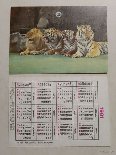 Карманный календарик. Цирк. Тигры Михаила Багдасарова. 1981 год