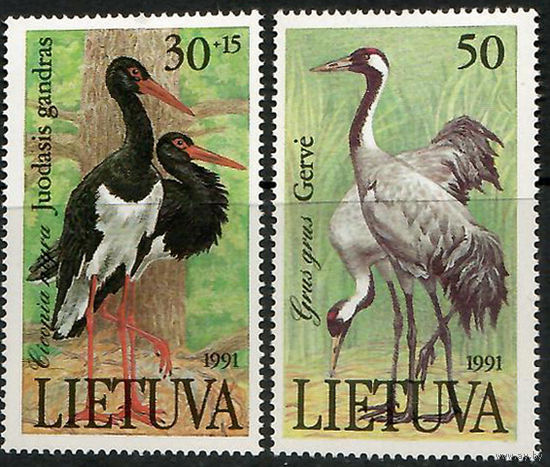 Птицы из Красной книги Литвы