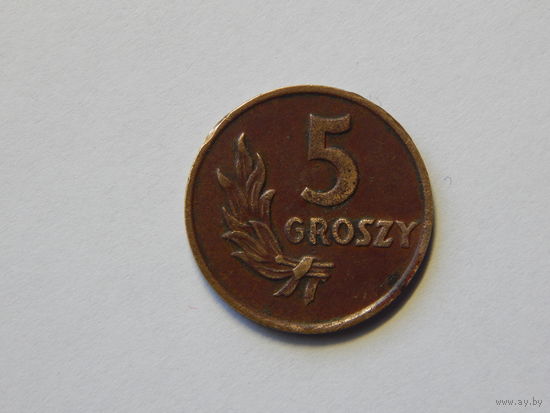 Польша 5 грошей 1949г