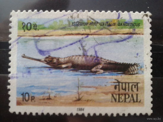 Непал 1984 Крокодил