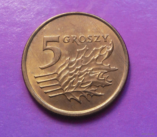 5 грошей 1991 Польша #02