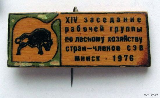 1976 г. 14 заседание рабочей группы по лесному хозяйству стран-членов СЭВ. Минск.