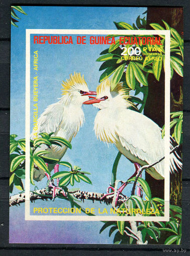 Экваториальная Гвинея - 1976 - Птицы Африки - [Mi. bl. 247] - 1 блок. MNH.