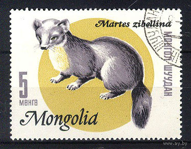 1966 Монголия. Соболь