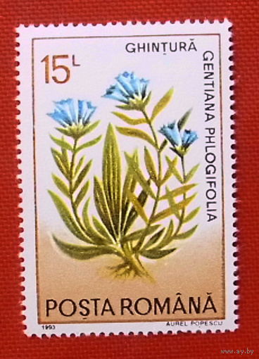 Румыния. Цветы. ( 1 марка ) 1993 года.