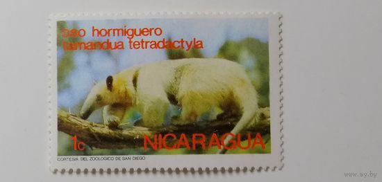 Никарагуа 1974. Дикие животные