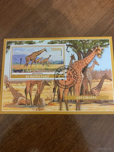 Буркина Фасо 2019. Жирафы. Блок