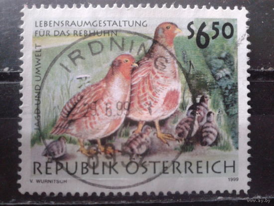 Австрия 1999 Птицы
