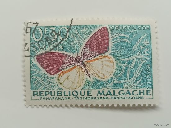 Мадагаскар 1960. Бабочки