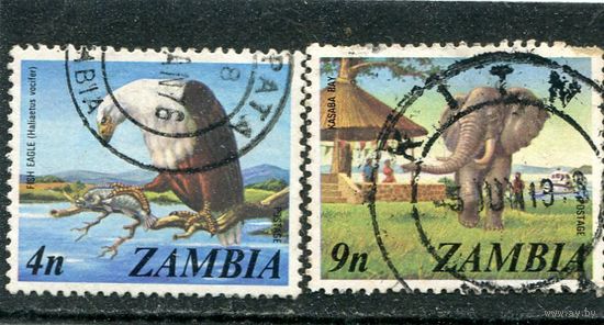 Замбия. Фауна