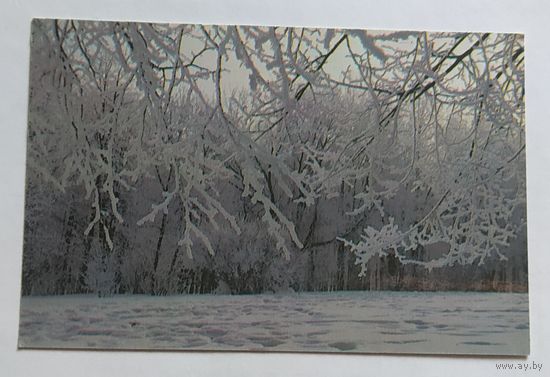 Календарик.1989.зима природа.