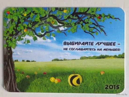 Календарик. Фирма "Современные системы связи". 2015.