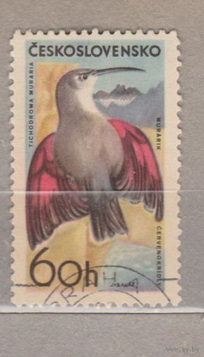 Птицы  Фауна Чехословакия  лот 1007