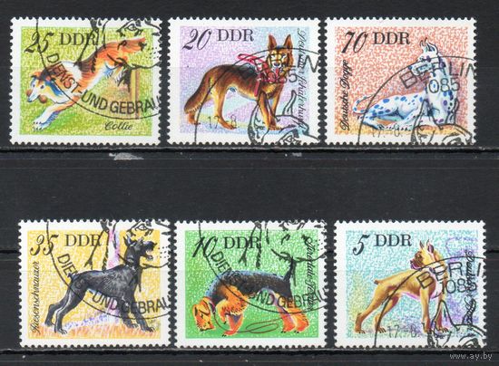 Служебные собаки ГДР 1976 год серия из 6 марок