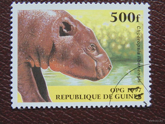 Гвинея 1997г. Фауна.