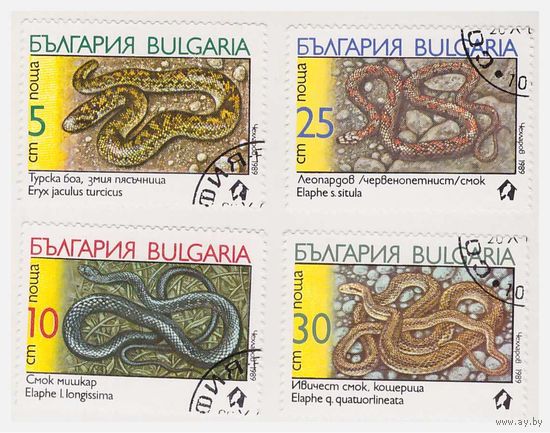 Болгария Змеи 1989
