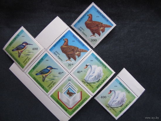 Квартблок Птицы, занесенные в Красную книгу Беларуси (##43-45, 1993), + три марки