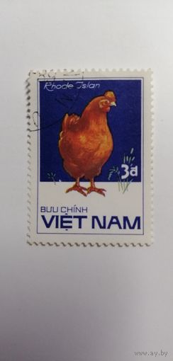 Вьетнам 1986. Домашние животные.