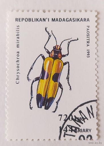 Мадагаскар 1993, жук