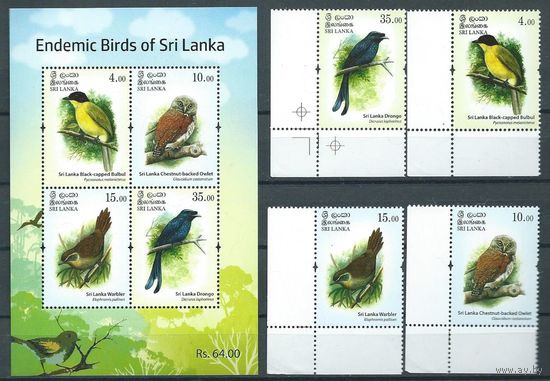 Шри Ланка фауна птицы