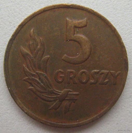 Польша 5 грошей 1949 г.