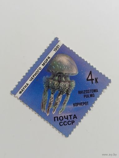 1991 СССР. Фауна Чёрного моря