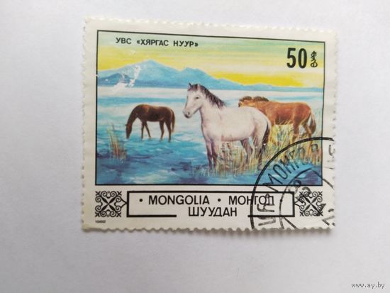 МНР  1982 лошади
