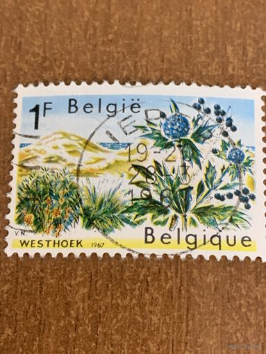 Бельгия 1967. Природа Бельгии. Флора. Марка из серии