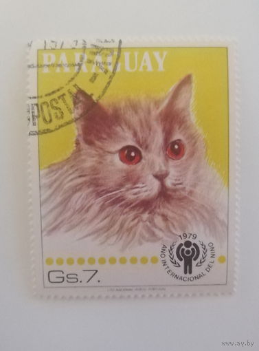 Парагвай 1979. Коты