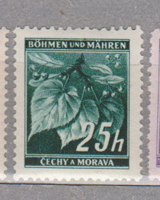 Германия рейх  Богемия и Моравия Местные мотивы 1939 г флора    лот 6