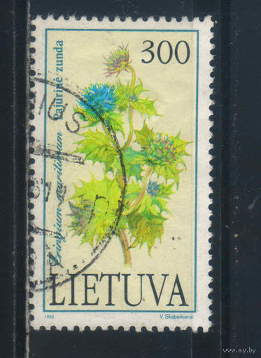 Литва 2-я Респ 1992 Цветы Чертополох #500