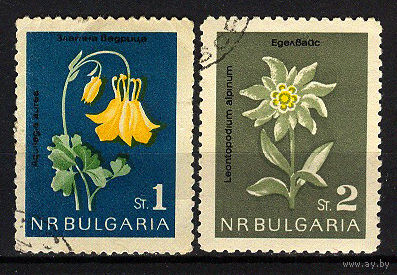 1963 Болгария. Цветы
