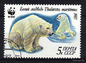 1987 СССР. Белый медведь