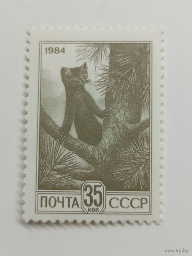 1984 СССР. Стандарт. Соболь