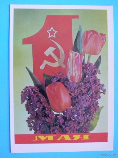 Дергилев И., 1 Мая, 1981, чистая.