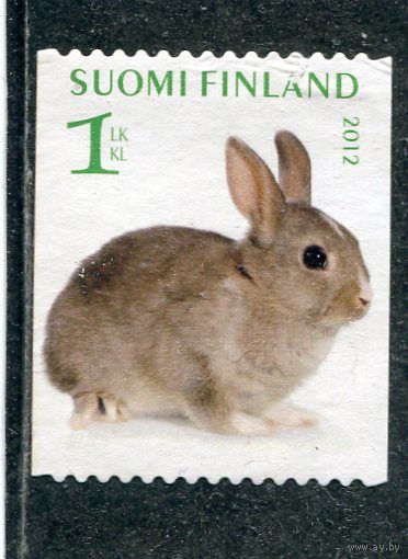 Финляндия. Кролик