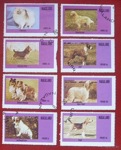 Индия. Нагаленд. Собаки. ( 8 марок ) 1973 года. 8-1.