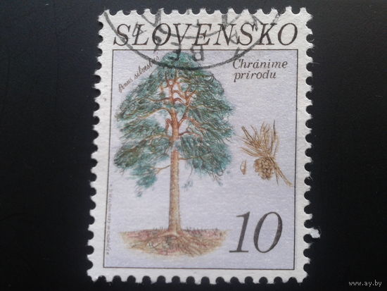 Словакия 1993 дерево