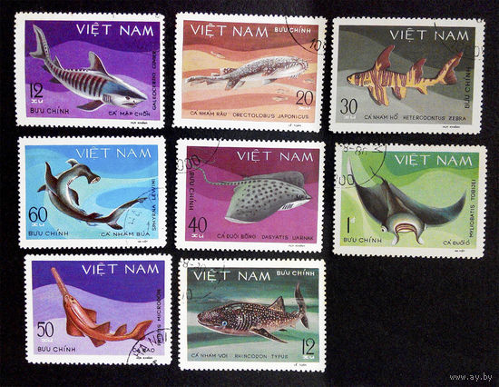 Вьетнам 1980 г. Рыбы. Акулы и скаты. Фауна, полная серия из 8 марок #0220-Ф1P51