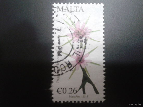 Мальта 2015 цветы
